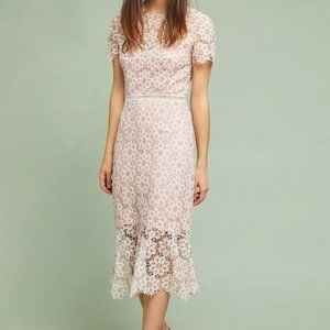 Anthropologie brand SAYLOR NYC Ambrosina Lace Pink Dress Size S Petite